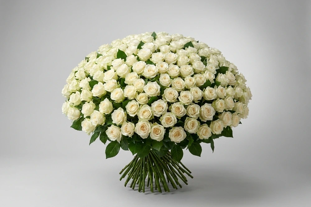 Buquê de 75 Rosas colombianas Brancas